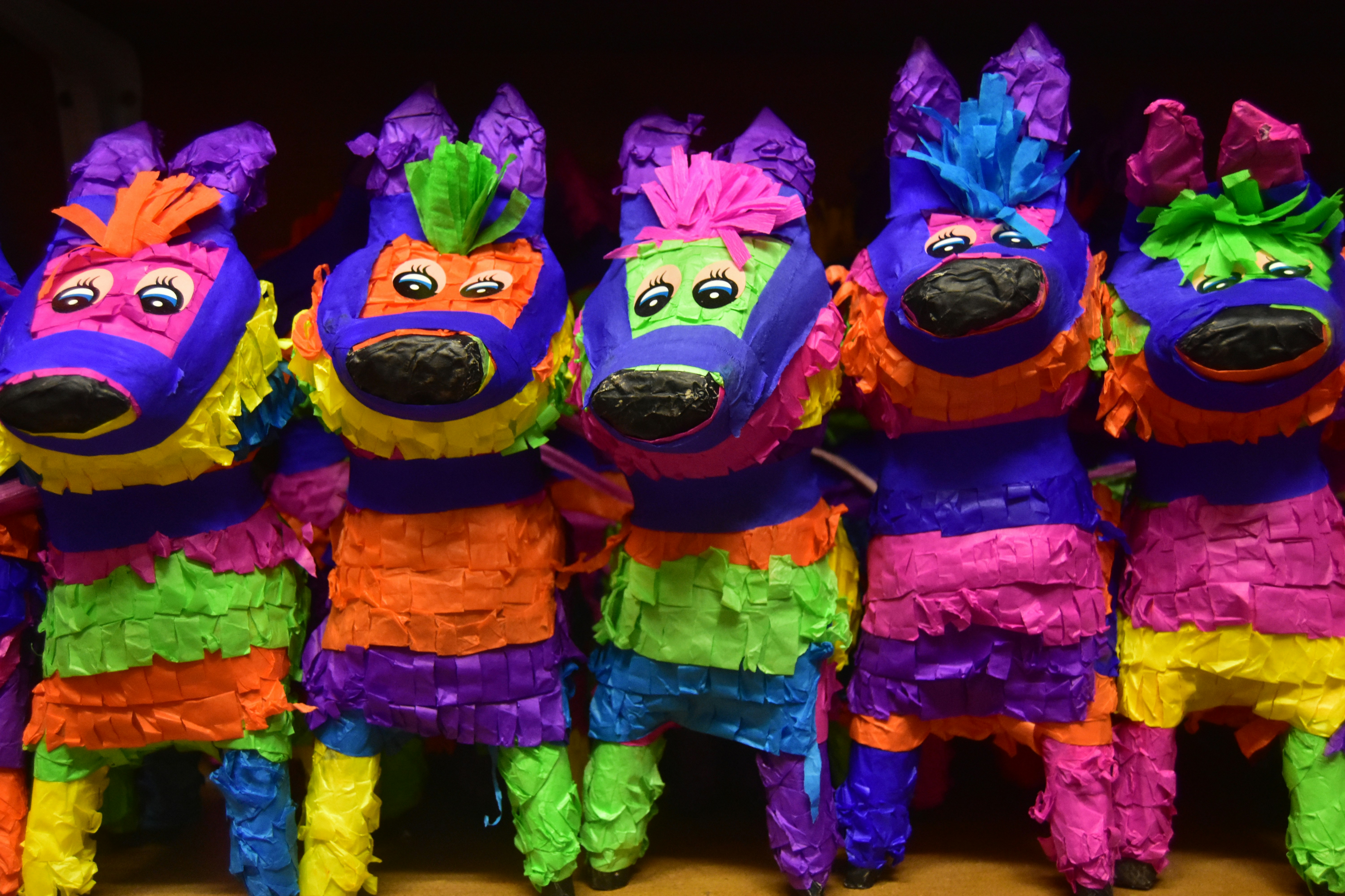 Finding Fiesta in the Little Moments